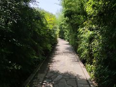 -西安汉城湖景区