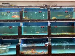 -天天海鲜城·海鲜大排档(新溪店)