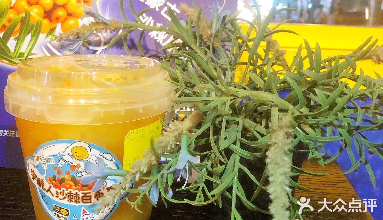 种草🌱快乐柠檬 X 宇航人沙棘百香果茶