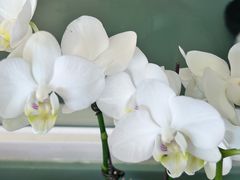 -南堂馆·新川菜(春熙路店)