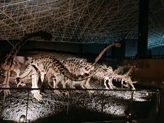 -世界恐龙谷景区