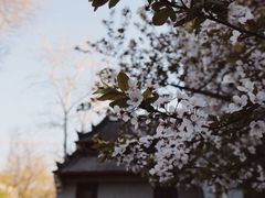 -山东大学(趵突泉校区)