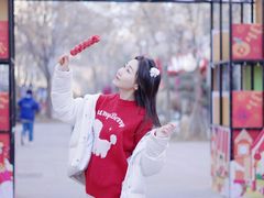 -中粮·祥云小镇