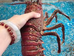 -大东海海鲜酒楼(渔人码头总店)