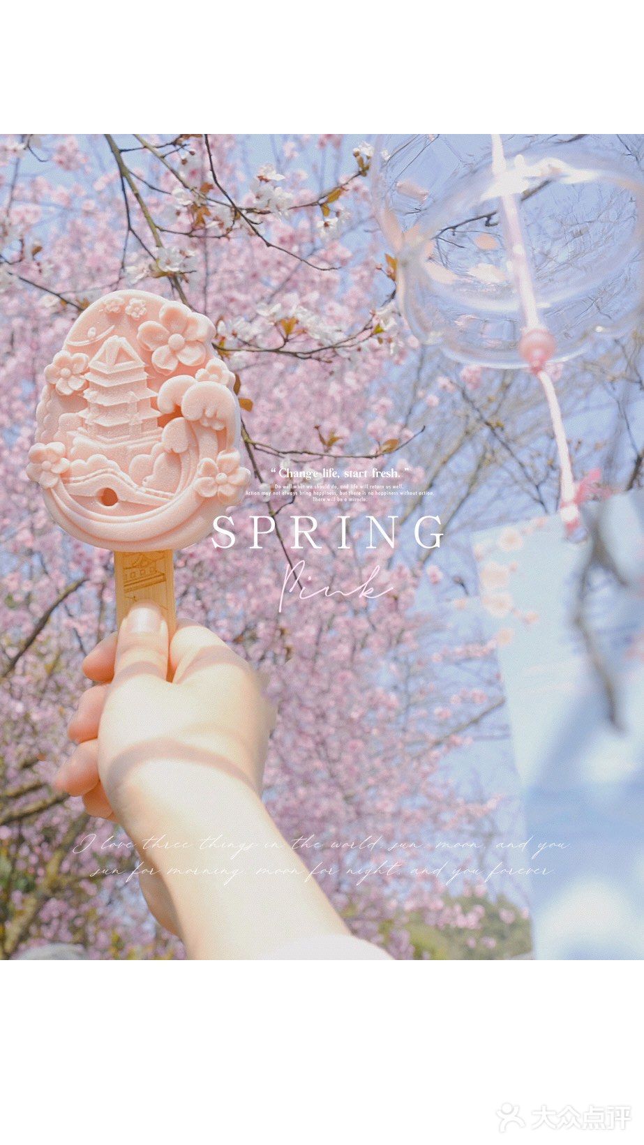 🌸无锡鼋头渚-樱花没开