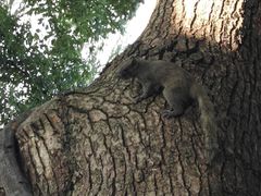 -西湖外事游船(花港观鱼码头)