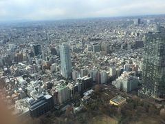 -东京都厅舍
