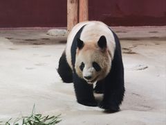 -杭州野生动物世界