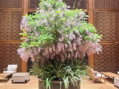 -养云安缦·廊