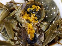 -红灯笼龙凤饭店(宁波老字号店)