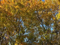 -回龙观体育文化公园