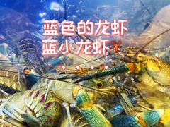 -老班长·小龙虾·鲜货烧烤大排档(金街美地店)