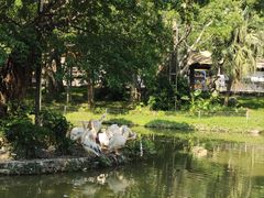 -深圳野生动物园