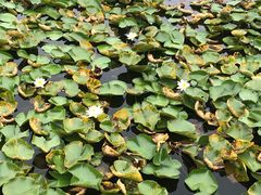 -尚贤河湿地