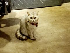 -研途咖啡馆(健康路店)