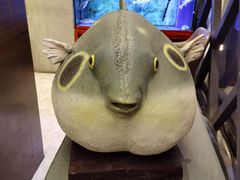 -肆月河豚·新淮扬(金融街店)
