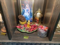 -雪灵魔法世界SHELLY’S TAROT(大良桂畔里店)