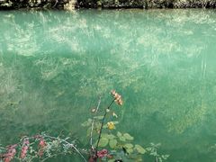 -尧治河旅游度假区