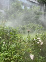 -安琪朵朵独栋花园月子中心