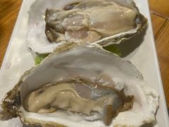 生蚝-金龙·打边炉(南京西路店)