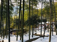 -江南天池高山汤泉城