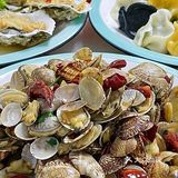 现在青岛的海蛎子🦪这么肥吗⁉️开了8年的啤酒屋