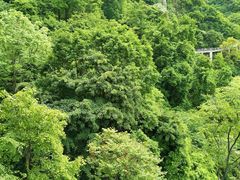 -少华山国家森林公园