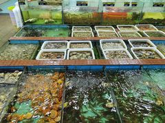 -景好海鲜餐厅(大鹏必选旅游店)