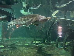 -华夏文旅西安度假区