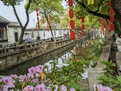 -惠山古镇·寄畅园