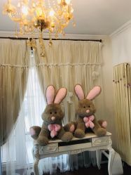 -美肤盾祛痘·问题肌头疗管理中心