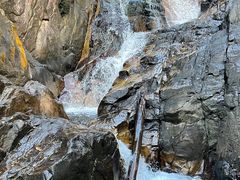 -九龙江国家森林公园