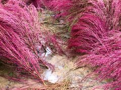 -汉长安城未央宫国家考古遗址公园