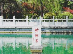 -济南大明湖景区