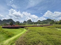 -靖西鹅泉风景区