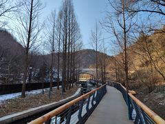 -白水寺森林公园