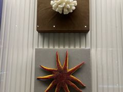 -青岛贝壳博物馆