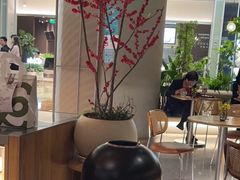 -gaga(深圳京基KKMALL店)