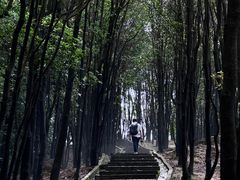 -火炉山森林公园
