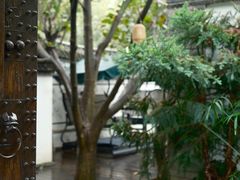 -慢丽江·云南野生菌土鸡锅(西山店)