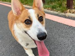 -武汉紫薇都市田园