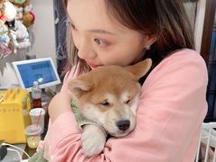 -逗柴咖啡屋·狗咖猫咖宠物桌游