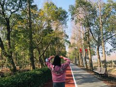 -上海长兴岛郊野公园