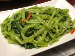 -大树头森林餐厅(番禺广场店)