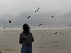 -老虎石海上公园