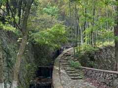 -莫干山风景区
