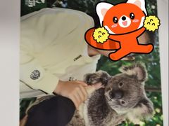 -可伦宾野生动物保护区