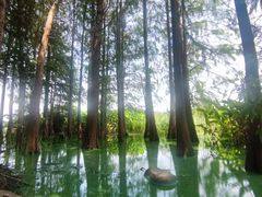 -长广溪湿地公园