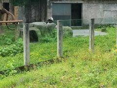 -龙湖重庆时代天街