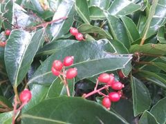 android_upload_pic-穹窿山景区